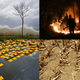 Illustration for article titled Heres Why This Years Cold Winter Doesnt Disprove Climate Change
